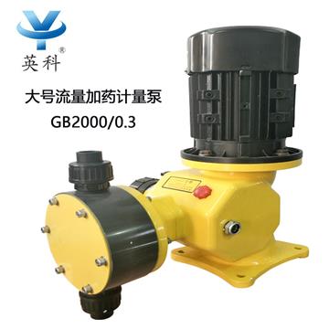 GB2000/0.3雙隔（gé）膜計量泵